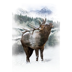 Elk Buckskin - Call Of The Wild